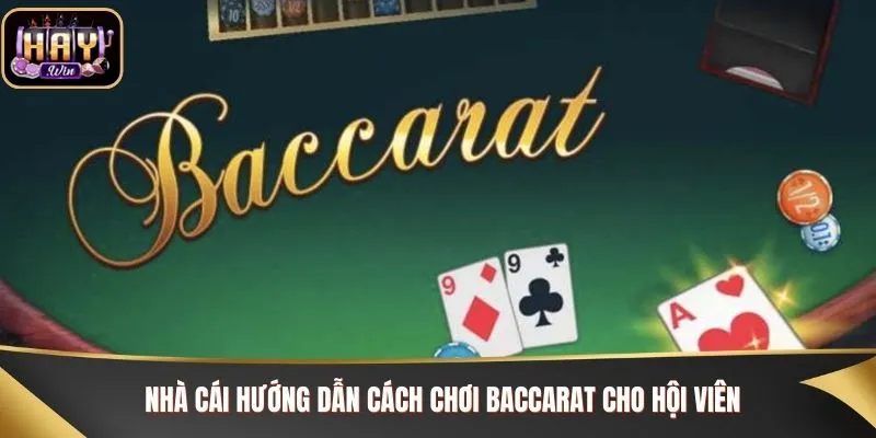 Cách Chơi Baccarat Chi Tiết, Mẹo Hay Từ Cao Thủ Haywin Nhà cái hướng dẫn cách chơi Baccarat cho hội viên