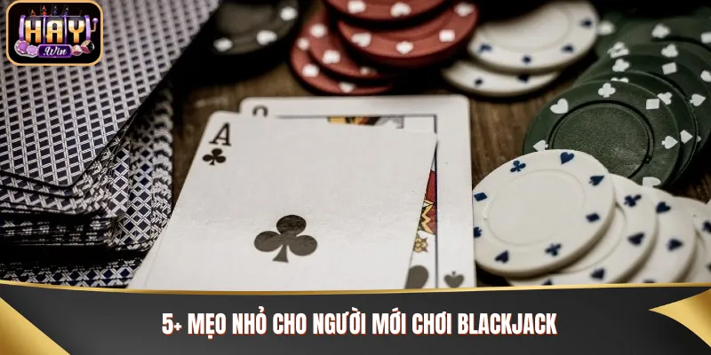 Cách Chơi Blackjack Ăn Trọn Tiền Thưởng Từ Nhà Cái Haywin Mẹo đánh thắng nhà cái khi chơi Blackjack