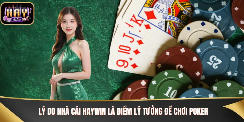 Cách chơi Poker dễ, lý do nhà cái Haywin là điểm lý tưởng