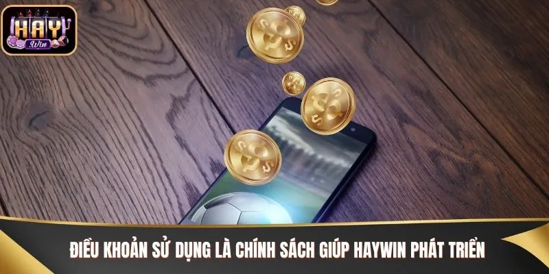 Điều khoản sử dụng là chính sách giúp Haywin phát triển