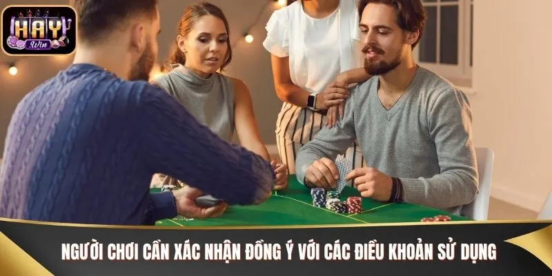 Người chơi cần xác nhận đồng ý với các điều khoản sử dụng