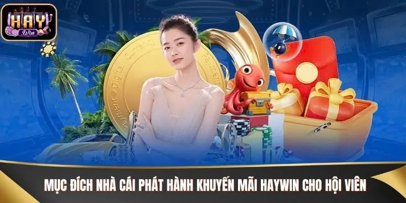 Mục đích nhà cái phát hành khuyến mãi Haywin cho hội viên