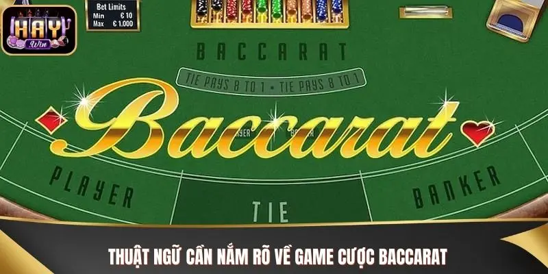Baccarat Haywin - Trò Chơi Làm Giàu Cho Các Tay Cược Đam Mê Thuật ngữ cần nắm rõ về game cược Baccarat