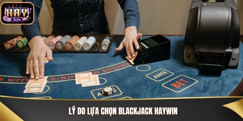 Blackjack Haywin - Quy Tắc Chơi Và Bí Kíp Chiến Thắng Lý do lựa chọn Blackjack Haywin