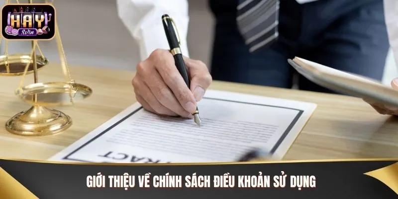Giới thiệu về chính sách điều khoản sử dụng