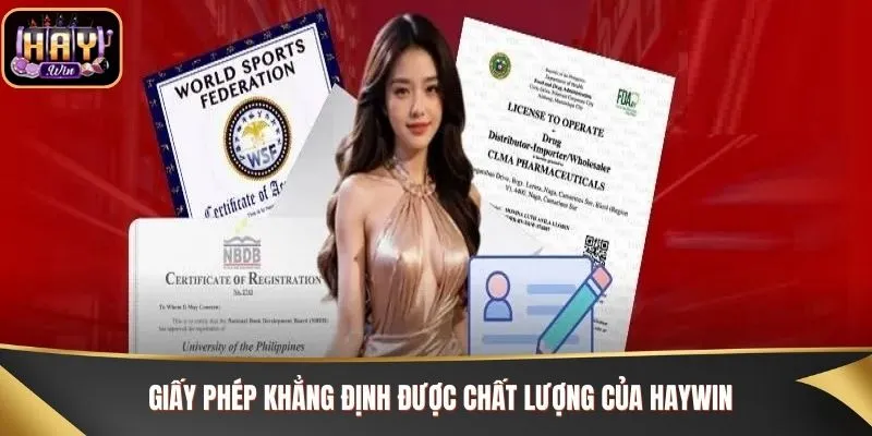 Giấy phép khẳng định được chất lượng của Haywin