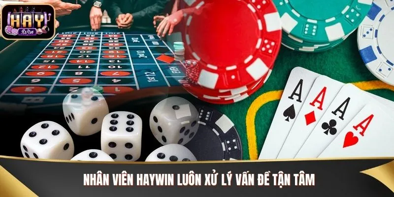 Nhân viên Haywin luôn xử lý vấn đề tận tâm