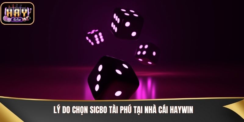 Lý do chọn Sicbo Tài Phú tại nhà cái Haywin