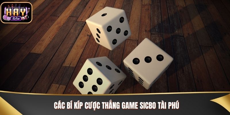 Các bí kíp cược thắng game Sicbo Tài Phú