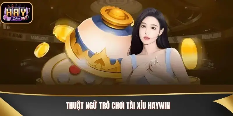 Thuật ngữ trò chơi Tài Xỉu Haywin