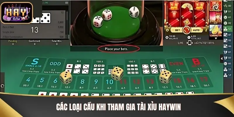 Các loại cầu khi tham gia Tài Xỉu Haywin