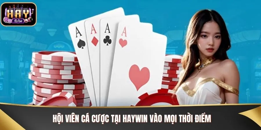 Hội viên cá cược tại Haywin vào mọi thời điểm
