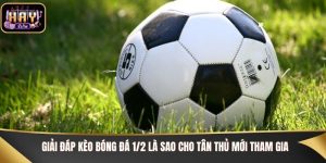 Kèo bóng đá 1/2 là sao